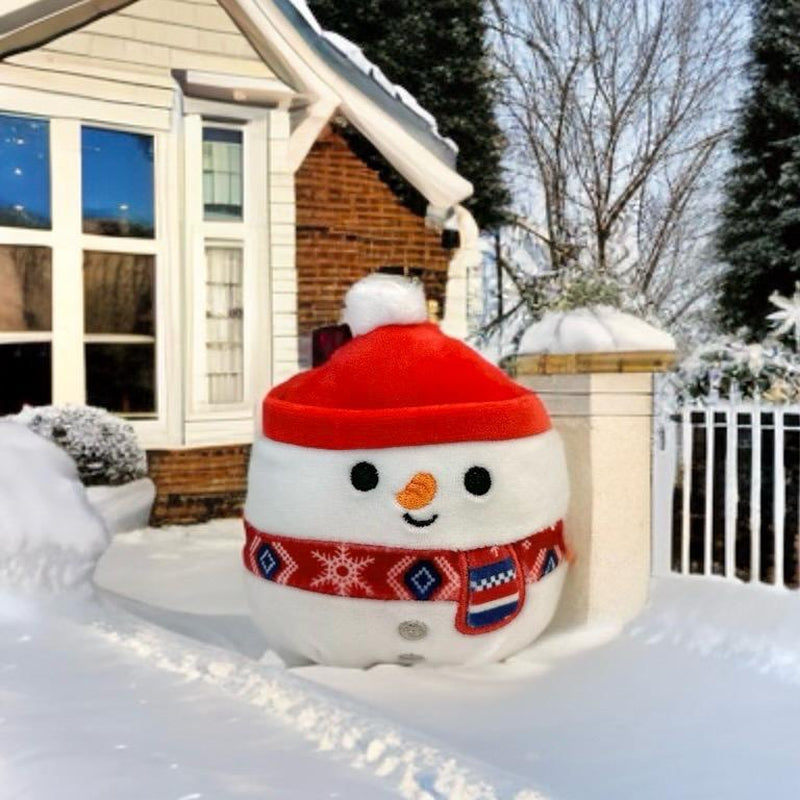 Chapter 4 Christmas Squishmallow Ornament/ Christmas Present/ Christmas Tree Ornament